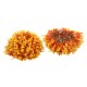 GloboStar® 78515 Artificial - Συνθετικό Τεχνητό Διακοσμητικό Φυτό Θάμνος Πυξάρι Πορτοκαλί - Κίτρινο Φ36cm