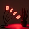 GloboStar® 79654 Grow Light Full Spectrum LED Φωτιστικό Ανάπτυξης Φυτών Γλάστρας με 4 Κινούμενες Κεφαλές & Βάση Clip SMD 2835 20W 160° DC 5V IP20 με Dimmer & Timer Εσωτερικού Χώρου για Κάλυψη Επιφάνειας 1m x 1m Πλήρους Φάσματος Φωτισμού