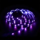 GloboStar® 80025 SONOFF L1-5050RGB-GR-5M-R2 - Smart RGB LED Light Strip Extension 5M Waterproof IP65 GloboStar® 80025 SONOFF L1-5050RGB-GR-5M-R2 - Smart RGB LED Light Strip Extension 5M Waterproof IP65