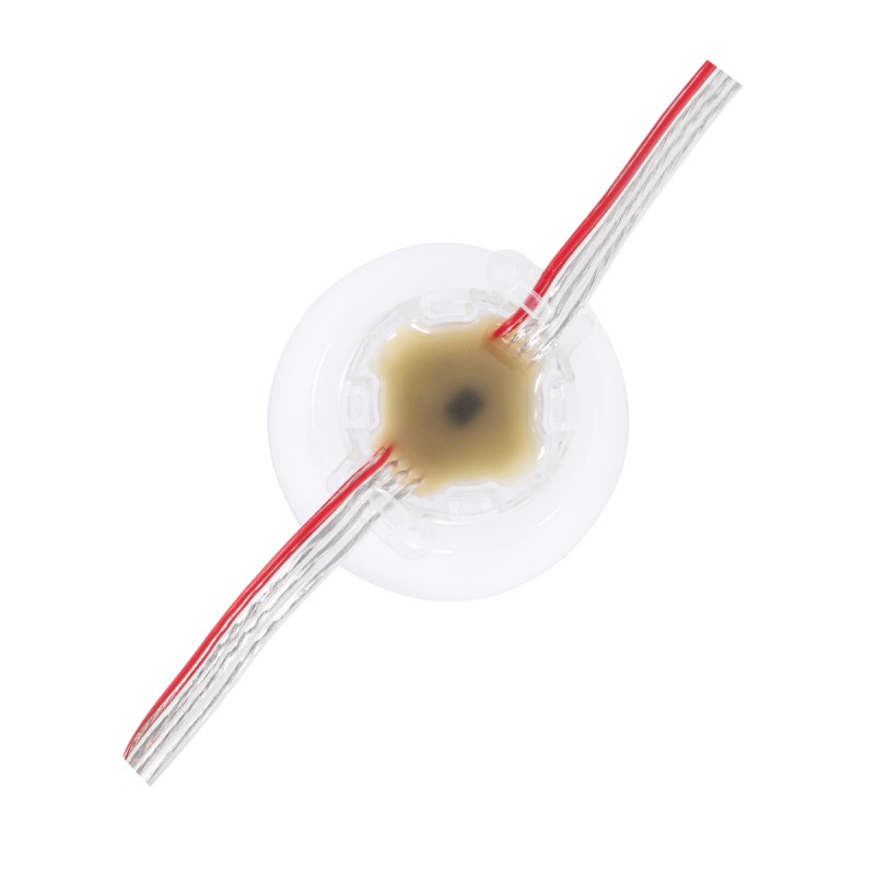 GloboStar® 90139 Digital Pixel Addressable Facade Module Chain String with 20 Spots - Ψηφιακή Αλυσίδα - Γιρλάντα με 20 Σποτ LED SMD 3535 15W 20LED 20PIXEL SPI/TTL Protocol IC UCS512B 900lm 240° DC 12V Αδιάβροχο IP67 Πολύχρωμο RGB - Μ200 x Π5 x Υ5cm - 3 Χρ