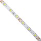 GLOBOSTAR® AVILA 90590 Ταινία LED 4.8W/m 300lm/m 120° DC 12V IP20 60 x SMD3528 Chip/m Ψυχρό Λευκό 6000K Dimmable - Μ500 x Π0.8 x Υ0.2cm - Ρολό 5 Μέτρων - 2 Χρόνια Εγγύηση
