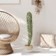 GloboStar® Artificial Garden SANTORINI 20576 Διακοσμητικό Πλεκτό Κασπώ Γλάστρα - Flower Pot Μπεζ με Λευκό Φ28 x Υ24cm GloboStar® Artificial Garden SANTORINI 20576 Διακοσμητικό Πλεκτό Κασπώ Γλάστρα - Flower Pot Μπεζ με Λευκό Φ28 x Υ24cm