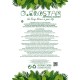 GloboStar® Artificial Garden BEGONIA 20611 Τεχνητό Κρεμαστό Διακοσμητικό Φυτό Βιγόνια Μ30 x Π15 x Y45cm