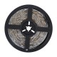 GloboStar® S-120001 Σετ Ταινία LED Digital Magic Strip IC3 5m 36W/5m 12V 30LED/m 5050 SMD 600lm/m 120° Αδιάβροχη IP65 με Ενσωματωμένα Προγράμματα Λειτουργίας και Τροφοδοτικό Κόκκινο GloboStar® S-120001 Σετ Ταινία LED Digital Magic Strip IC3 5m 36W/5m 12V 30LED/m 5050 SMD 600lm/m 120° Αδιάβροχη IP65 με Ενσωματωμένα Προγράμματα Λειτουργίας και Τροφοδοτικό Κόκκινο