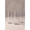 Raki Glass Set (4 Pieces) Avantgarde 195 - Transparent Transparent
