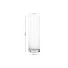 Raki Glass Set (4 Pieces) Avantgarde 195 - Transparent Transparent