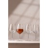 Wine Glass Set (4 Pieces) Dragonfly 490 Transparent