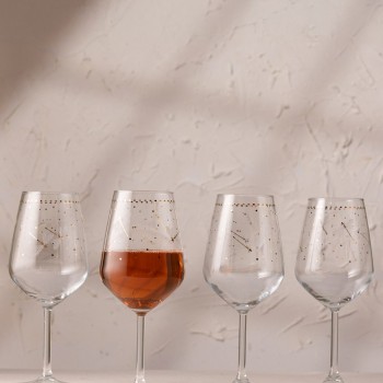 Wine Glass Set (4 Pieces) Dragonfly 490 Transparent