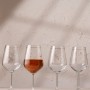 Wine Glass Set (4 Pieces) Dragonfly 490 Transparent