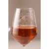 Wine Glass Set (4 Pieces) Dragonfly 490 Transparent