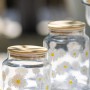 Jar Set (2 Pieces) Fiona Transparent