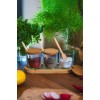 Spice Jar Set (3 Pieces) Marsala Bambu Transparent