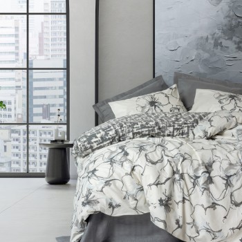 Anthracite Hilaris - Anthracite