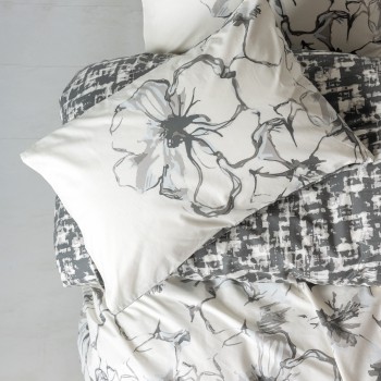 Anthracite Hilaris - Anthracite