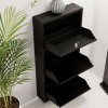Shoe Cabinet Locking 3 Piece Metal - Black Black