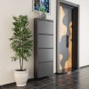 Shoe Cabinet Locking 4 Piece Metal - Anthracite Anthracite