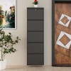 Shoe Cabinet Locking 5 Piece Metal - Anthracite Anthracite