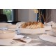 Cotton Bread Basket Set (4 Pieces) JUT01001127D Ecru Aberto Design Cotton Bread Basket Set (4 Pieces) JUT01001127D Ecru