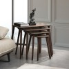 Nesting Table (4 Pieces) Luci - Walnut Walnut