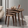 Nesting Table (4 Pieces) Moon - Walnut Walnut