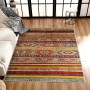 Carpet (60 x 100) W1096 - Multicolor Multicolor