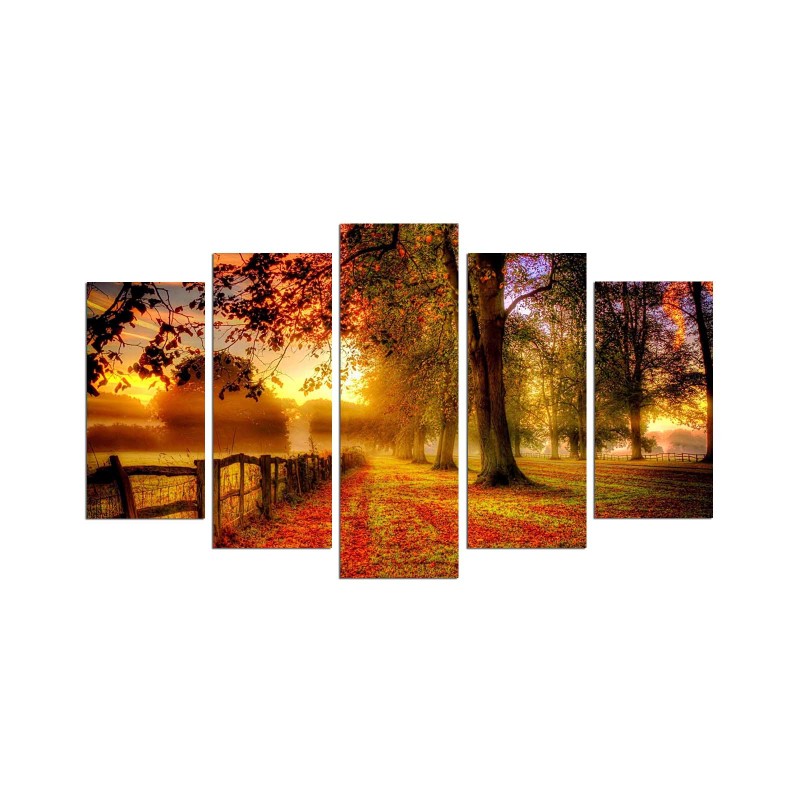 Wallxpert Decorative MDF Painting (5 Pieces) 5PMX-070 Multicolor