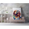 Wallxpert Decorative Canvas Painting WY165 (50 x 70) Multicolor