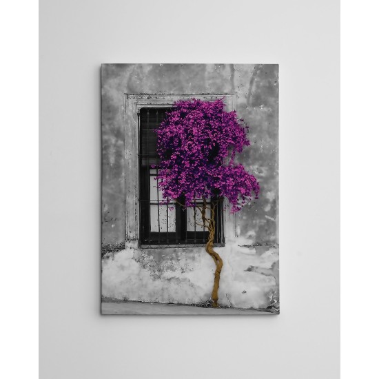 Decorative Canvas Painting WY239 (50 x 70) Multicolor Wallxpert Decorative Canvas Painting WY239 (50 x 70) Multicolor