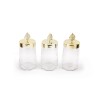 Hermia Storage Box Set (6 Pieces) PLTN112 Transparent
Gold