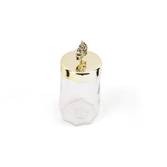 Hermia Storage Box Set (6 Pieces) PLTN112 Transparent
Gold
