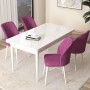 Dining Table & Chairs Set (5 Pieces) Arp - White, Purple White
Purple
