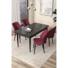 Dining Table & Chairs Set (5 Pieces) Arp - Black Marble, Burgundy Black Marble
Burgundy