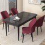 Dining Table & Chairs Set (5 Pieces) Arp - Black Marble, Burgundy Black Marble
Burgundy