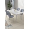 Dining Table & Chairs Set (5 Pieces) Nil - White, Grey White
Grey