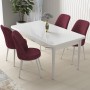 Dining Table & Chairs Set (5 Pieces) Nil - White, Burgundy White
Burgundy
