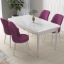 Dining Table & Chairs Set (5 Pieces) Nil - White, Purple White
Purple