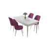 Dining Table & Chairs Set (5 Pieces) Nil - White, Purple White
Purple