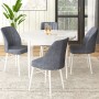 Dining Table & Chairs Set (5 Pieces) Rox - White, Fume White
Fume