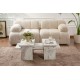 Coffee Table Sanctuary - Fressia Marble Freesia Marble Hanah Home Coffee Table Sanctuary - Fressia Marble Freesia Marble