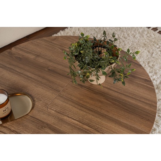 Coffee Table Moira - Walnut Walnut Coffee Table Moira - Walnut Walnut
