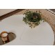 Coffee Table Moira - Wood White Wood White Coffee Table Moira - Wood White Wood White