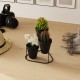 Decorative Metal Accessory GED-014 Black Aberto Design Decorative Metal Accessory GED-014 Black