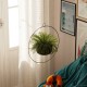 Aberto Design Decorative Pot Payanda - Black Black