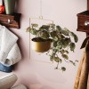 Aberto Design Decorative Pot Parapet - Gold Gold