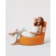 Atelier del Sofa Garden Bean Bag Lina - Orange Orange