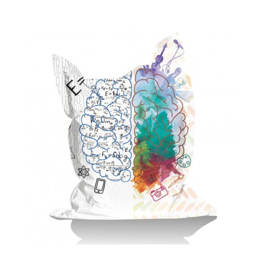Garden Bean Bag Giant EMC2 Brain Multicolor