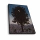 Wallxpert Decorative Canvas Painting FAMOUSART-039 Multicolor