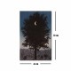 Wallxpert Decorative Canvas Painting FAMOUSART-039 Multicolor