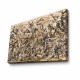 Wallxpert Decorative Canvas Painting 70100FAMOUSART-009 Multicolor