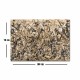 Wallxpert Decorative Canvas Painting 70100FAMOUSART-009 Multicolor